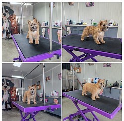 1ere épilation Dolly